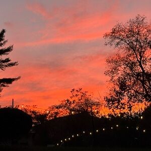 Meet your Posher, Shaina